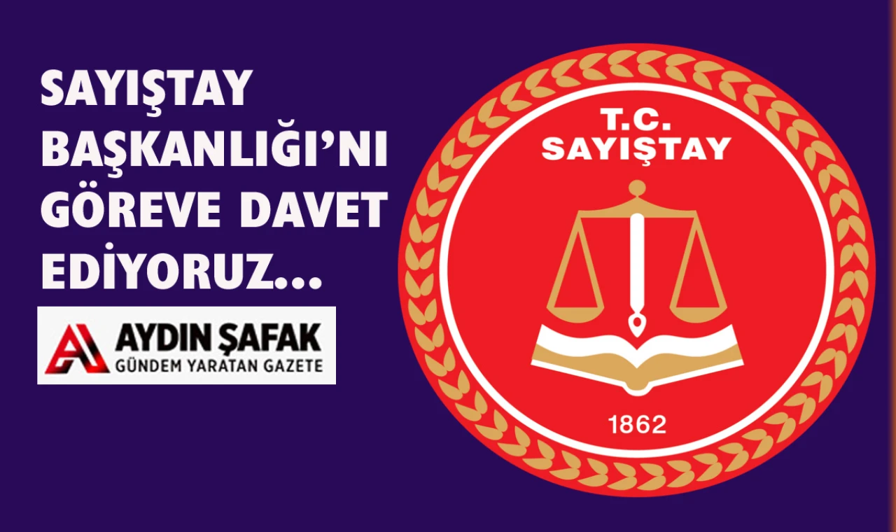 Düzenin içinde Sayıştay Denetçileri de mi var?