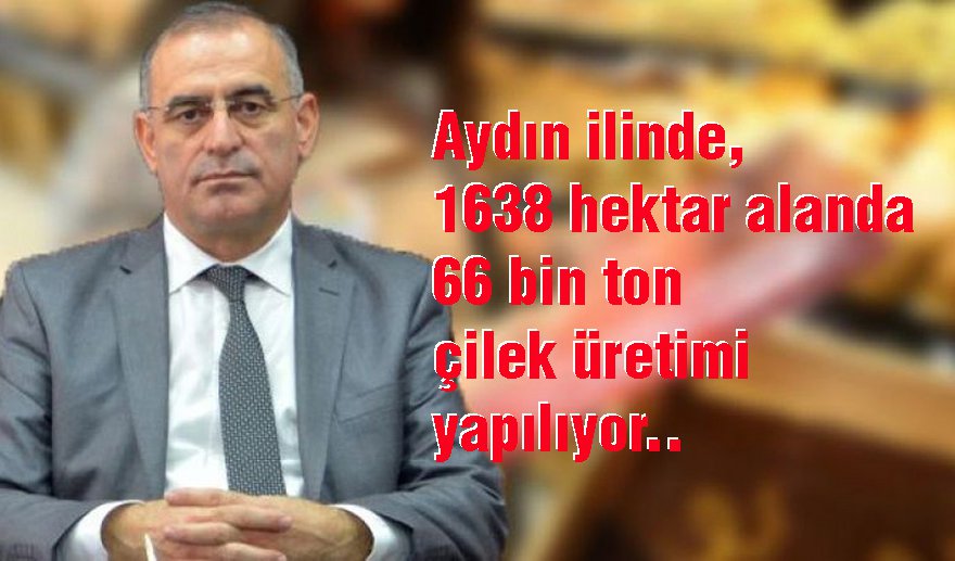 Aydın çilek üretiminde 2’inci Sırada..