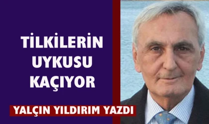 Çakallar leş yerler…